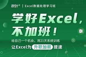 《秋叶Excel数据处理学习班》视频课程合集百度云网盘资源分享下载（带工具表）[MP4/155.55MB]