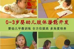 0-3岁早教中心幼儿亲子游戏训练教材视频课程MP4百度云网盘下载