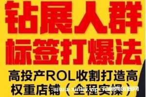 逐鹿《钻展人群标签打爆法》高投产ROL收割打造高权重店铺-百度云网盘下载