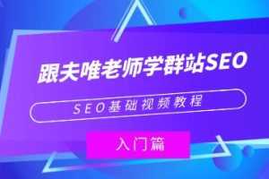 《跟夫唯老师学群站SEO》SEO基础视频教程-百度云网盘下载