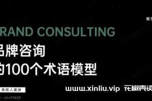 《品牌咨询100个术语模式》百度云网盘下载