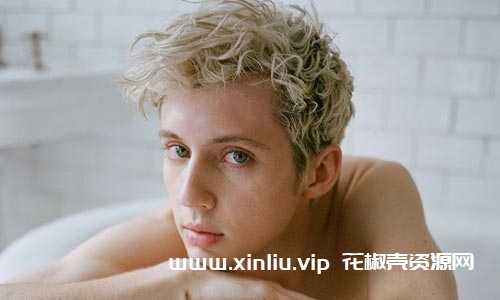 戳爷/Troye Sivan 37张专辑/单曲歌曲合集