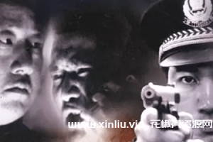 纪录片《中国大案重案纪实》5部合集国语中字[MP4/51.68GB]百度云网盘下载