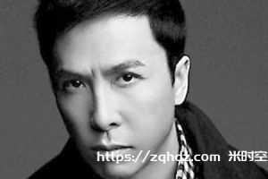 国产剧《甄子丹/Donnie Yen》全部所有最新最全1080P超高清电影视频合集[MKV/MP4/281.98GB]云网盘下载