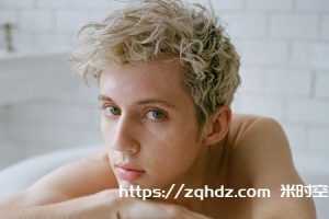 无损《戳爷/Troye Sivan》全部所有专辑/单曲歌曲音乐合集[FLAC/MP3/3.44GB]云网盘下载