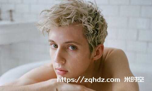 《戳爷/Troye Sivan 37张专辑/单曲歌曲音乐合集》