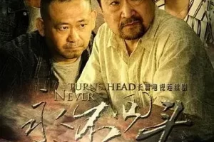 国产剧《永不回头》全集电视剧视频合集在线看[MP4/FLV/3.51GB]云网盘下载