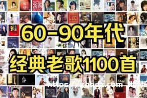 《60-90年代经典老歌曲音乐1100+首》[MP3/11.31GB]云网盘下载