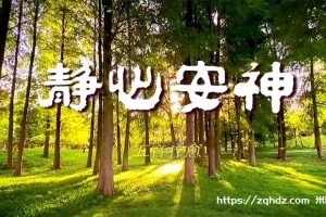 《东西方养生音乐歌曲合集》[MP3/9.91GB]云网盘下载