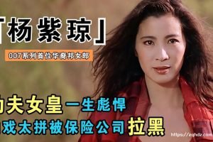 国产剧《杨紫琼》29部影视作品合集[MP4/233GB]云网盘下载