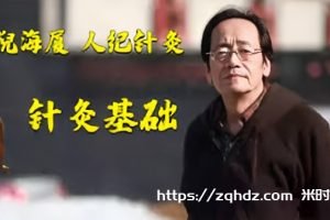 《倪海厦人纪-针灸》全集视频学习资料[RMVB/16GB]百度云网盘下载